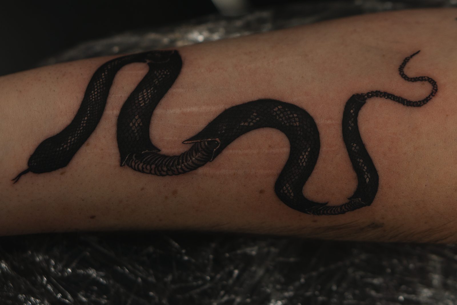 Flow Inc Ink tatoeëerstudio in Midrand — foto met vergunning van Flow Inc Ink se amptelike webwerf